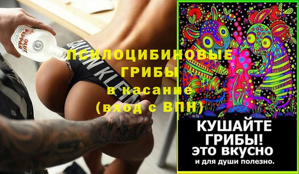 шишки Алексеевка
